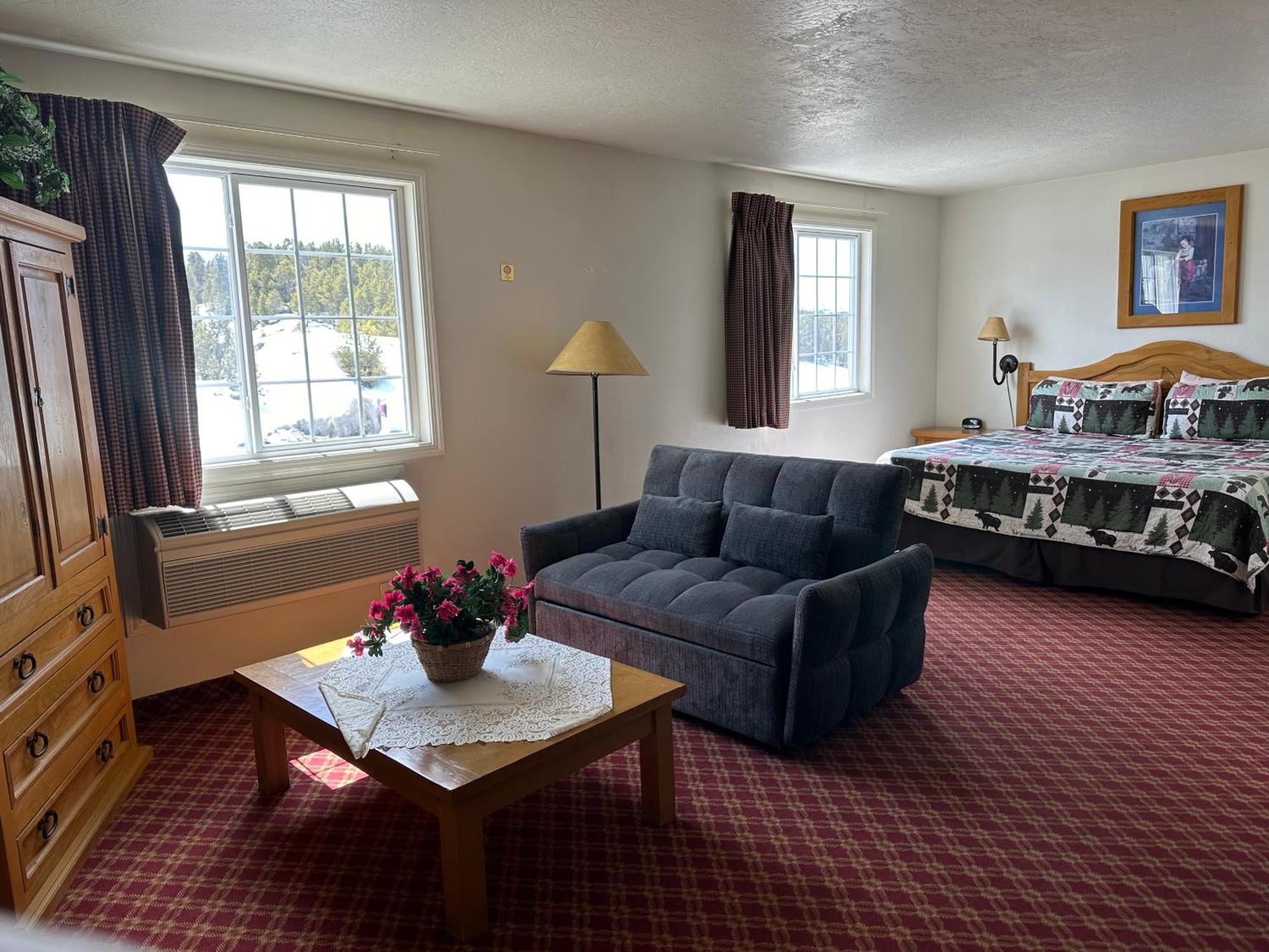 Columbine Inn And Suites Ледвилл Экстерьер фото